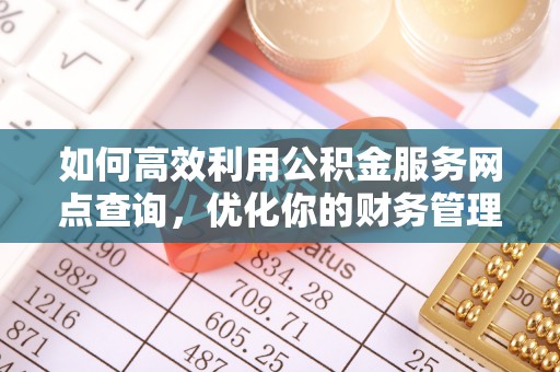 新田如何高效利用公积金服务网点查询，优化你的财务管理