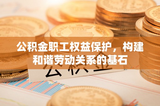 新田公积金职工权益保护，构建和谐劳动关系的基石