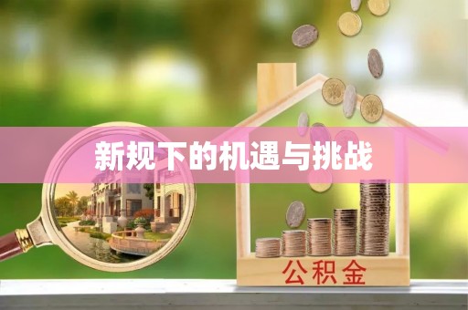 新田新规下的机遇与挑战