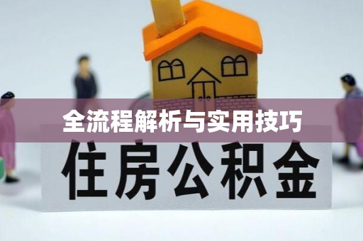 新田全流程解析与实用技巧