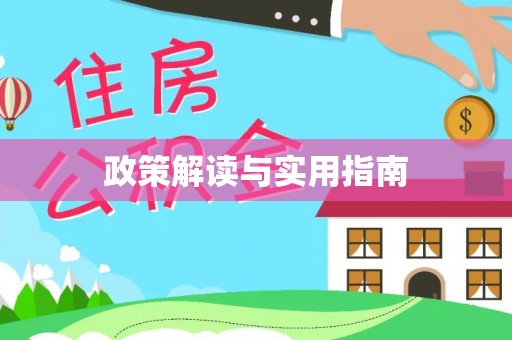 新田政策解读与实用指南
