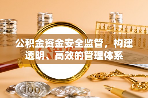 新田公积金资金安全监管，构建透明、高效的管理体系