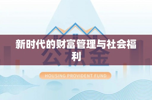 新田新时代的财富管理与社会福利