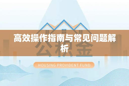新田高效操作指南与常见问题解析