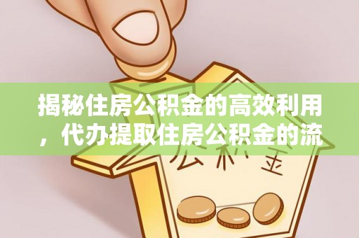 新田揭秘住房公积金的高效利用，代办提取住房公积金的流程与技巧