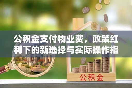 新田公积金支付物业费，政策红利下的新选择与实际操作指南
