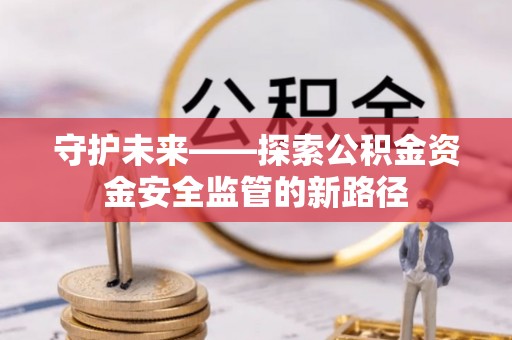 新田守护未来——探索公积金资金安全监管的新路径