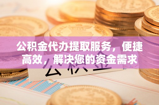 新田公积金代办提取服务，便捷高效，解决您的资金需求