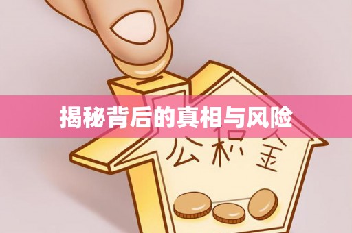 新田揭秘背后的真相与风险