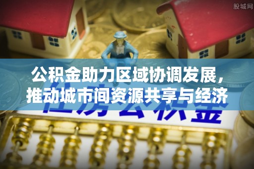 新田公积金助力区域协调发展，推动城市间资源共享与经济均衡发展