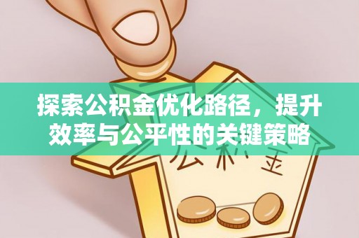 新田探索公积金优化路径，提升效率与公平性的关键策略