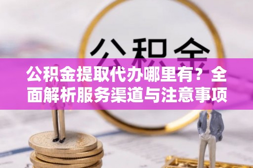 新田公积金提取代办哪里有？全面解析服务渠道与注意事项