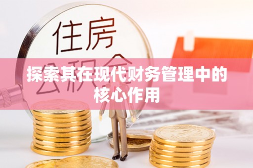 新田探索其在现代财务管理中的核心作用