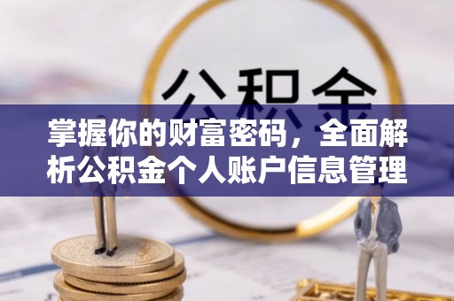 新田掌握你的财富密码，全面解析公积金个人账户信息管理
