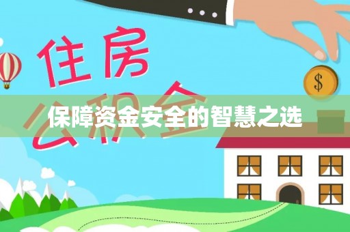 新田保障资金安全的智慧之选