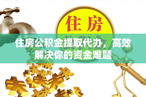 新田住房公积金提取代办，高效解决你的资金难题