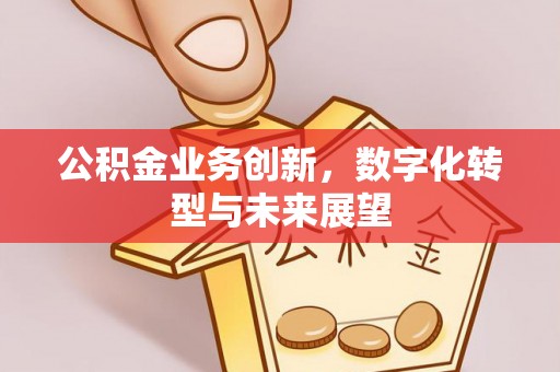 新田公积金业务创新，数字化转型与未来展望