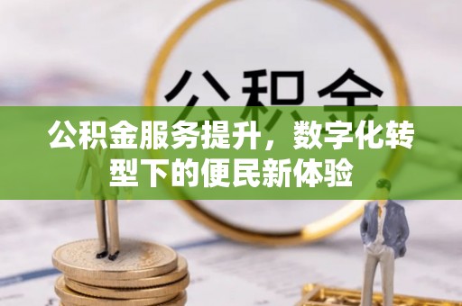 新田公积金服务提升，数字化转型下的便民新体验