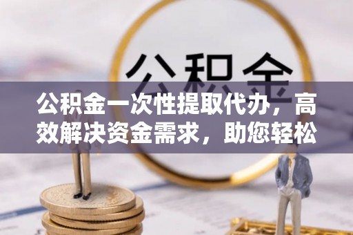 新田公积金一次性提取代办，高效解决资金需求，助您轻松应对生活难题