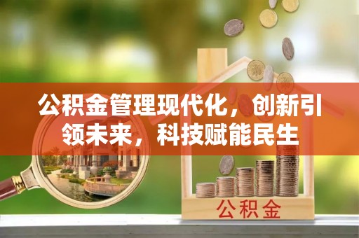 新田公积金管理现代化，创新引领未来，科技赋能民生