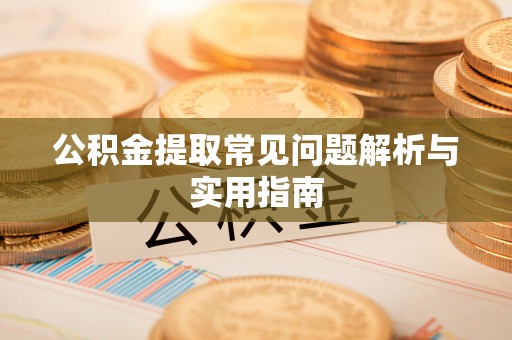 新田公积金提取常见问题解析与实用指南