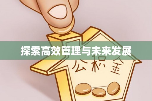 新田探索高效管理与未来发展