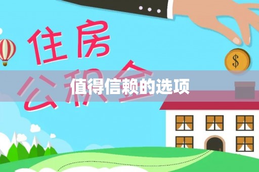 新田值得信赖的选项