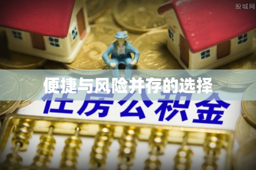 新田便捷与风险并存的选择